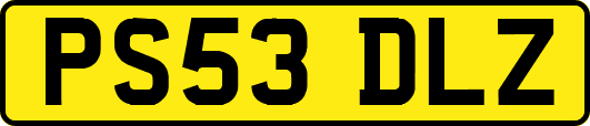 PS53DLZ
