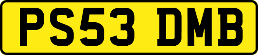PS53DMB
