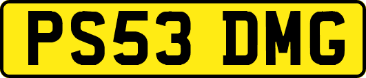 PS53DMG