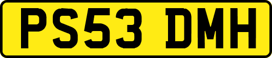 PS53DMH