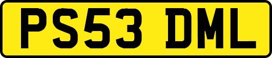 PS53DML