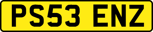 PS53ENZ