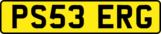 PS53ERG