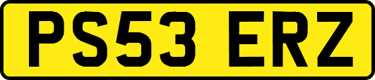 PS53ERZ