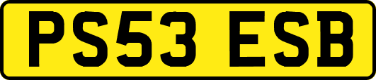 PS53ESB