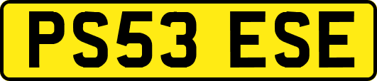 PS53ESE