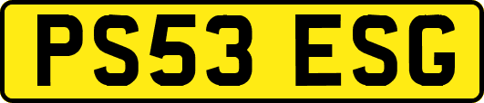 PS53ESG
