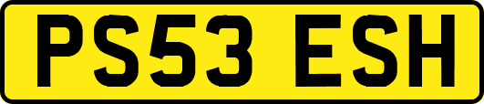 PS53ESH