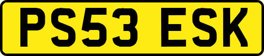 PS53ESK