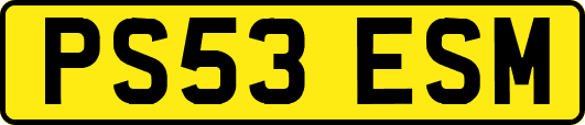 PS53ESM