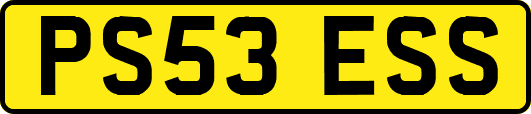 PS53ESS