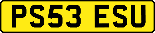 PS53ESU