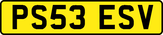 PS53ESV