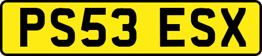 PS53ESX