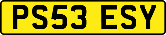 PS53ESY