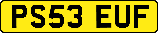 PS53EUF