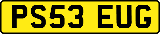 PS53EUG