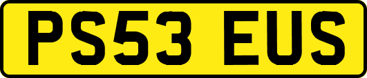 PS53EUS