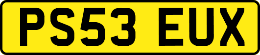 PS53EUX
