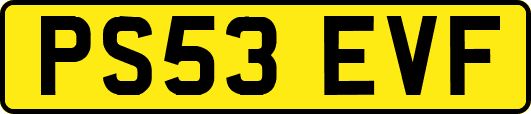 PS53EVF