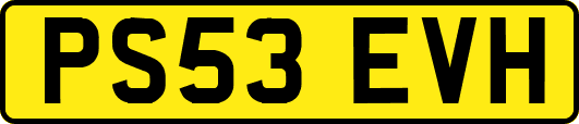 PS53EVH