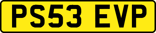 PS53EVP