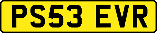 PS53EVR