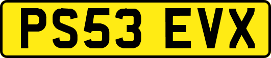 PS53EVX