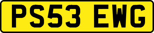 PS53EWG