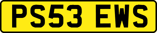 PS53EWS