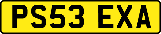 PS53EXA