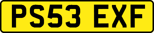 PS53EXF