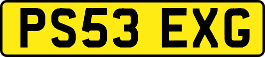 PS53EXG