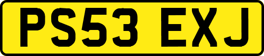 PS53EXJ