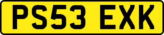 PS53EXK
