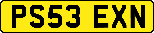 PS53EXN
