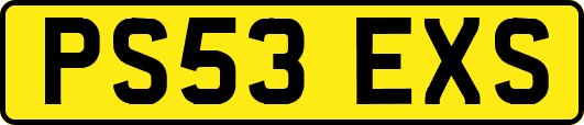 PS53EXS
