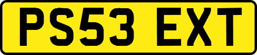 PS53EXT