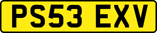 PS53EXV