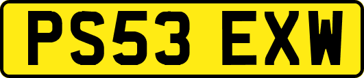 PS53EXW