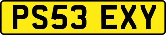 PS53EXY