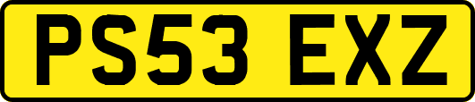 PS53EXZ