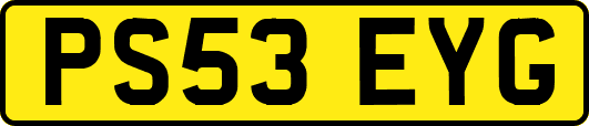 PS53EYG