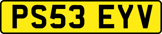 PS53EYV
