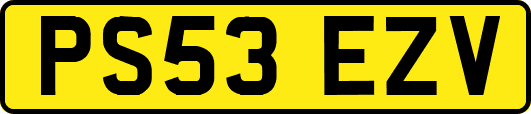 PS53EZV