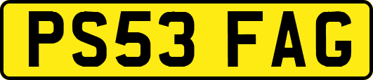 PS53FAG