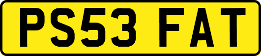PS53FAT
