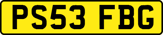 PS53FBG