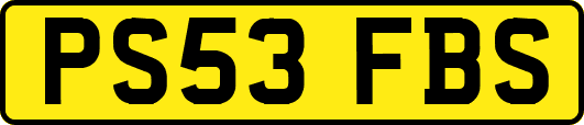 PS53FBS