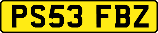 PS53FBZ